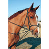 slofteugel leder met koord  zwart  ponysize