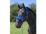 HB halster soft wit name  royal blue  pony