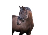 Paardenhalster m. imitatiebont pony  zwart