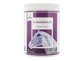 R-magnesium 1kg